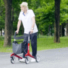 Rollator Walker