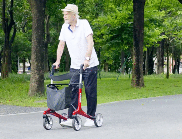 Rollator Walker